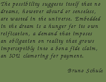 Bruno Schulz quote image